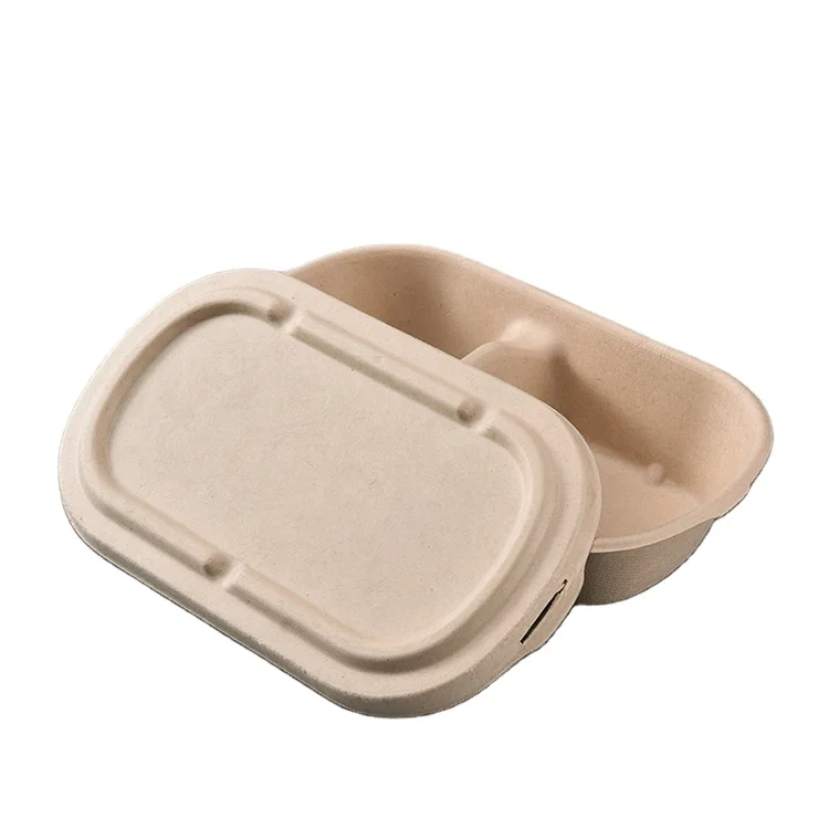 Eco Packaging 100% Compostable Takeaway Series Biodegradable Sugarcane Bagasse Food Container with Lid