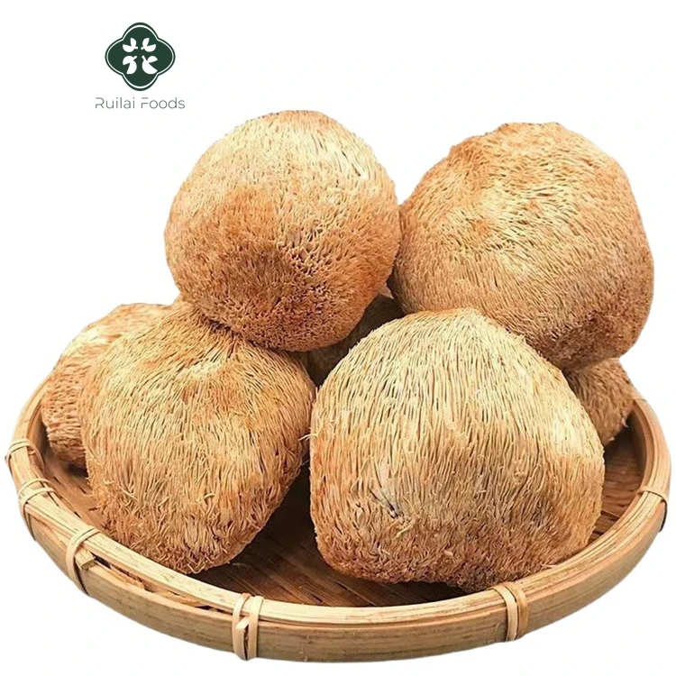 hou tou gu beard mushroom organic monkey head mushroom Hericium Erinaceus dried whole lion mane mushroom