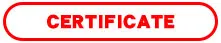 Hot Sell Powerful Full Suspension 48V Lithium Battery 800W 1000W 1600W 2000w adult Dual motor foldable Electric Scooter 21