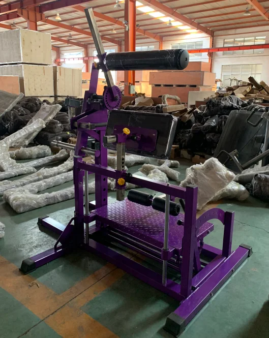 2023 Popular Commercial Gym Fitness Equipment Biceps Curl with Certifications