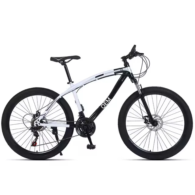 High quality double disc brake Fitness shaping Aerobic exercise 21 speed mountainbikes 24 inch mountain cycle