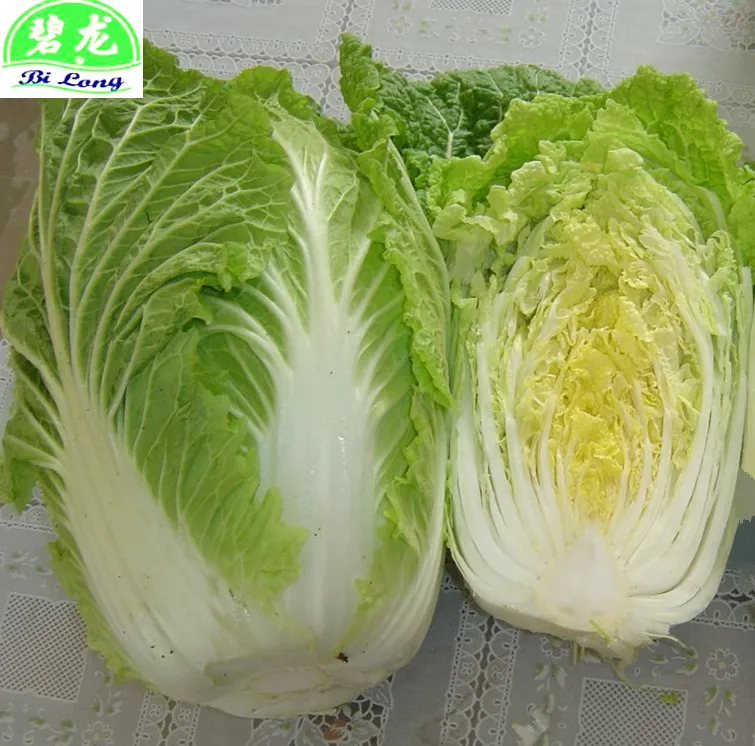 Новый урожай Лидер продаж свежая китайская капуста 4-6 шт. в коробке 10 кг от Shandong Hebei Xiamen