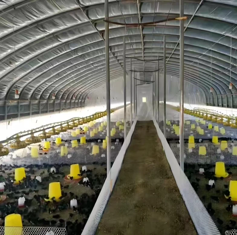 High Quality Large Scale Agricultural Greenhouse Double Layer Square Design Galvanized Steel Frame Glass Shading Animal Breeding
