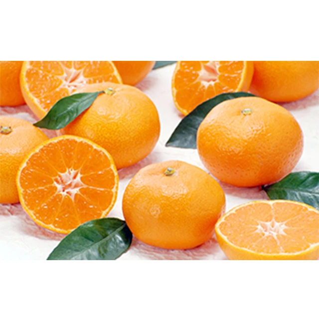 Japanese wholesale bulk agricultural products wholesale with good quality