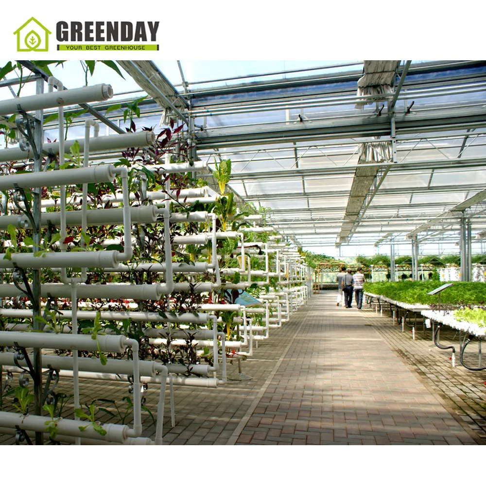
GREENDAY High quality steel pipe structure hoop green house tunnel greenhouse 