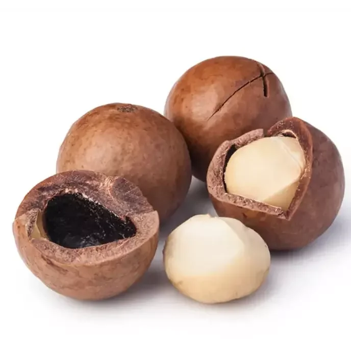 Factory Price Macadamia Nuts Wholesale Roasted Macadamia Nuts with fast delivery