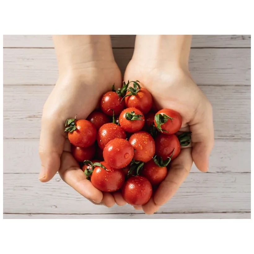 Deliciously Japan vegetable fresh tomatoes wholesale packaging