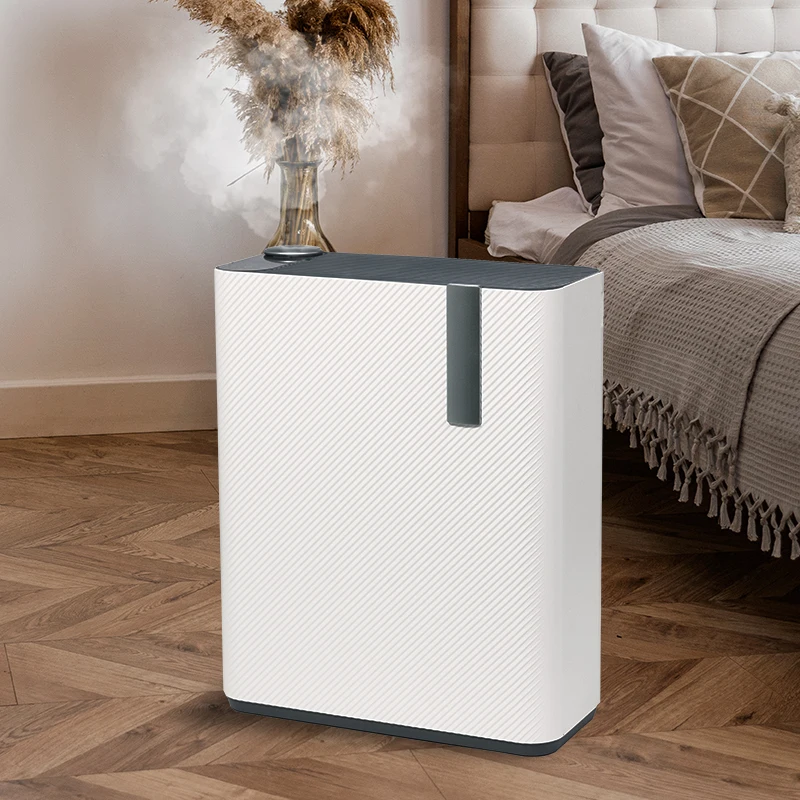 Compact Style Hepa Filter 2 in 1 Air Humidifier Air Purifier Household Using
