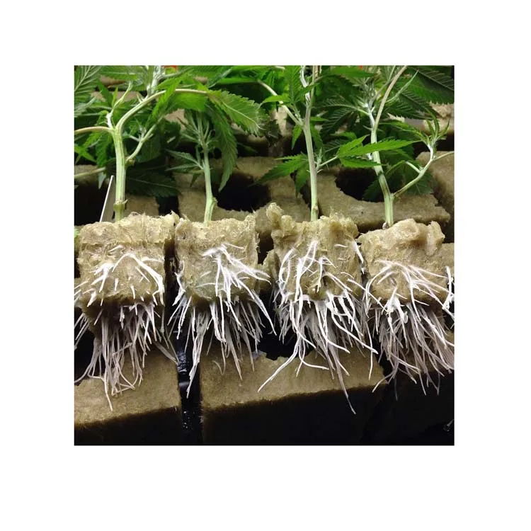 Hydroponic Vegetable Planting Mineral Wool Blocks Heat Insulation Materials For Greenhouse Artificial Planting