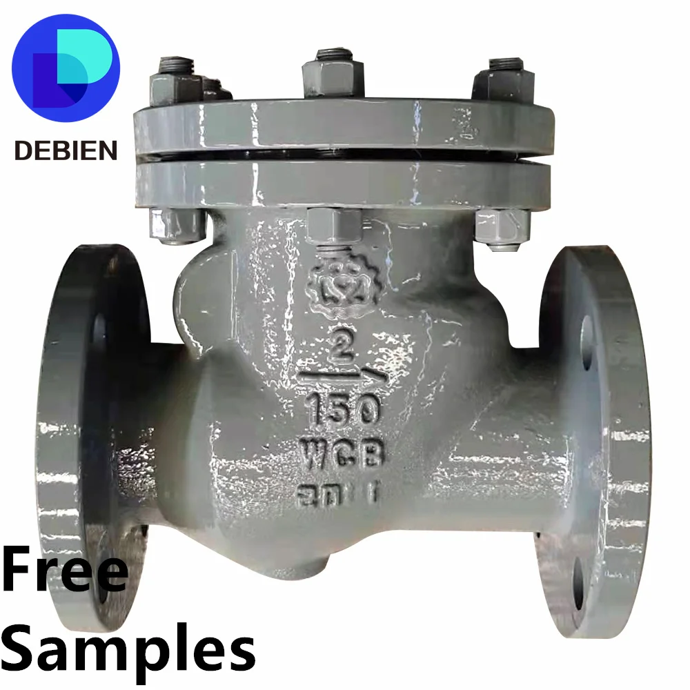 DEBIEN industri flow control  precision sanitary lockable 3m ss316 API ductile iron WCB vertical swing check valves