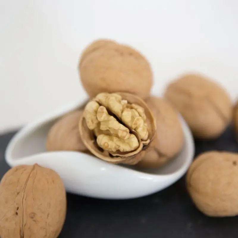 chinese top grade wholesale walnuts walnuts 185 xinjiang inshell  price