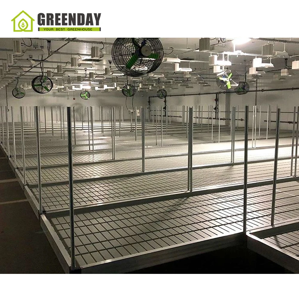 
GREENDAY Wholesale agricultural greenhouse orchid plant nursery plant pots plastic 