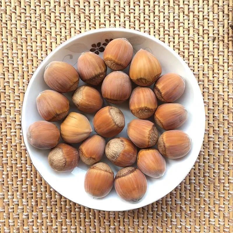 Wholesale Price High Quality China 100% Natural Organic Turkish Roasted Hazelnut