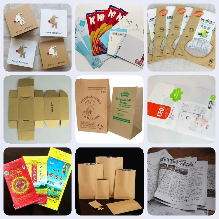 Automatic Paper/Carton/Bags Paging Machine Conveyor Belt Big Friction Feeder 600 for Inkjet