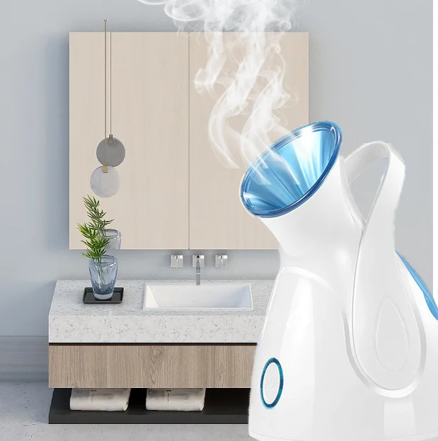 facial steamer professional