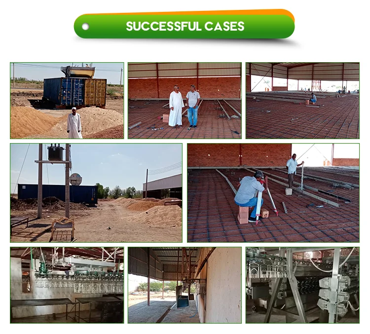 Best price stainless steel complete 1000 bph poultry slaughtering equipment