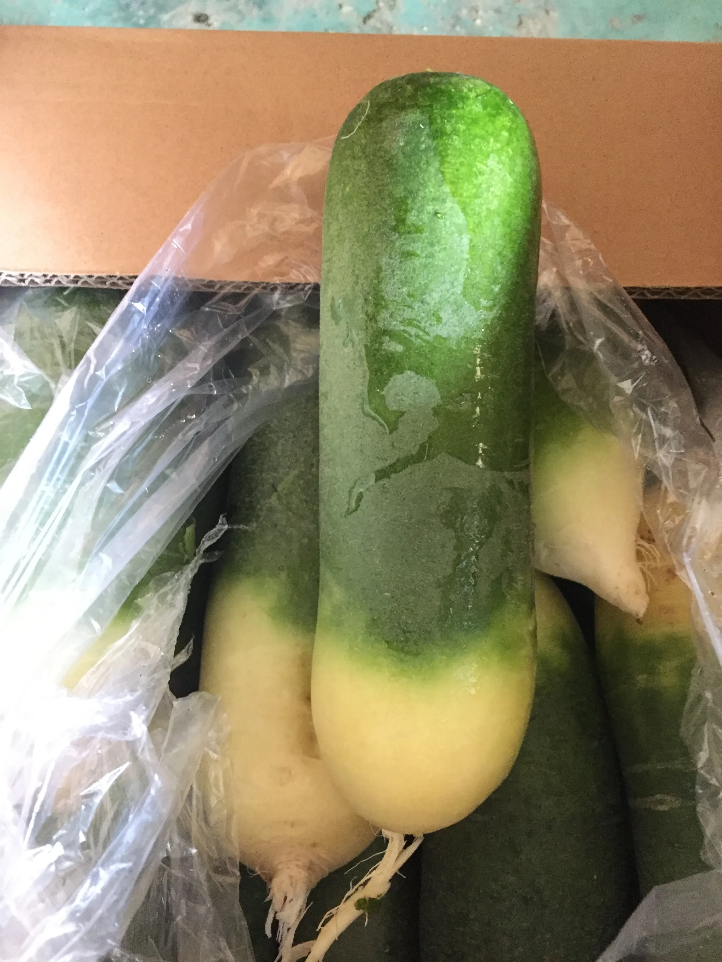 Новый сезон поставки с китайской фабрики свежие зеленые и белые редиски на экспорт длинные семена редьки цена из