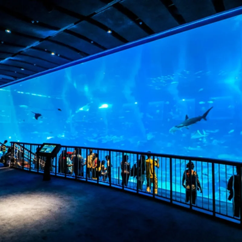 Leyu  Ocean Park Large Custom Made Cube Clear Acrylic Aquarium  Project fish tank panel