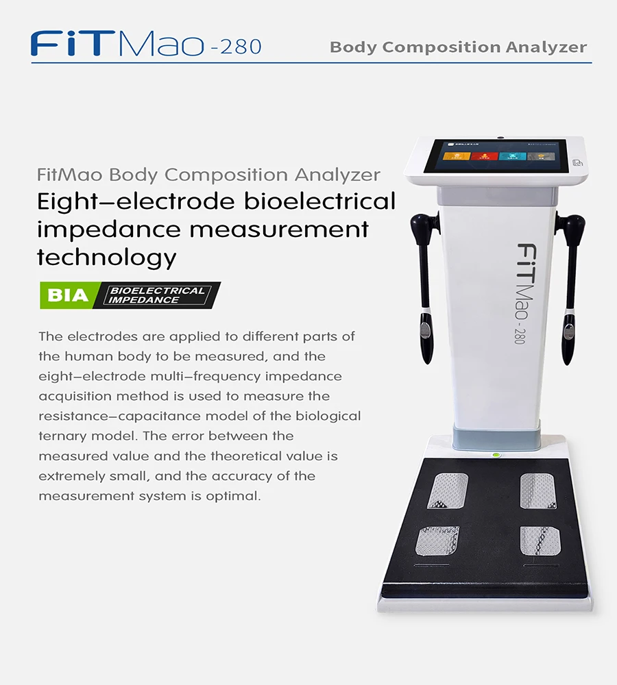Human Body Elements Body Composition Analyzer Other Slimming Machine Product