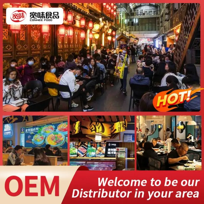 Exotic Marinated Noodles Seasoning Seasonings Supplier Good Seasoning