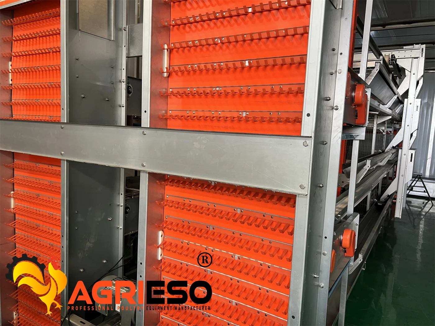 Agrieso Chicken Laying Battery Cages Hot Dip Galvanised 3/4 Tiers Chicken h Type Layer Cage Manure Egg Collection System