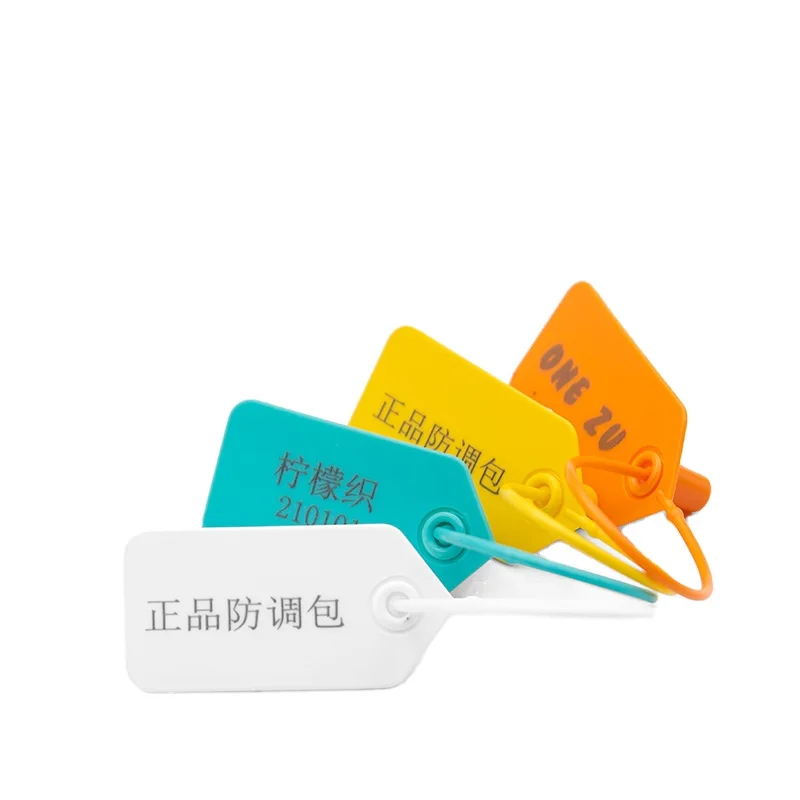 Custom Logo Security Seal Costume Brand Clothing Bags Hat Anti Theft Hang Tag Plastic Padlock