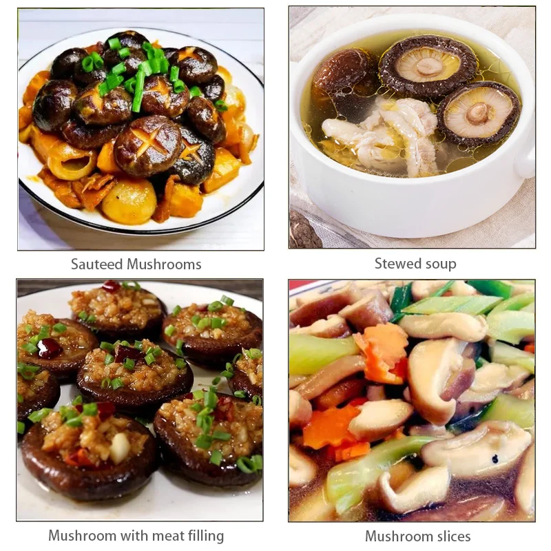 Qingchun High Quality organic Dried Shiitake Mushrooms dry shiitake mushroom
