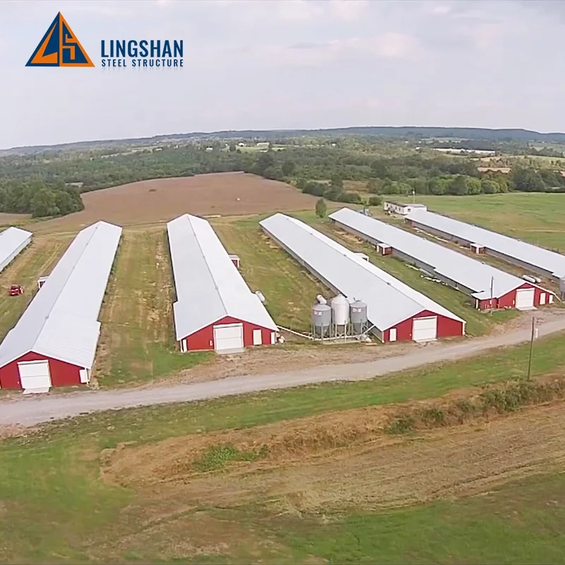 Низкая стоимость бройлера для куриного домика H типа клетка бройлеров домашняя Автоматическая