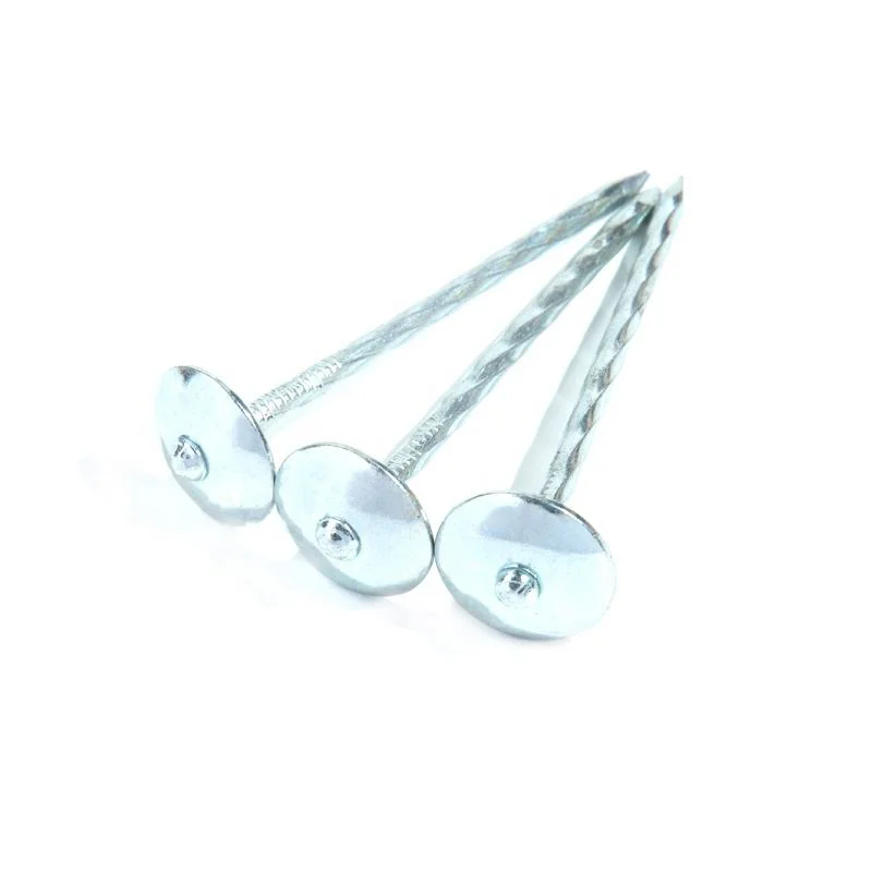 Galvanized Roofing Nail/Roofing Nails with Washer /Umbrella Roofing Nails