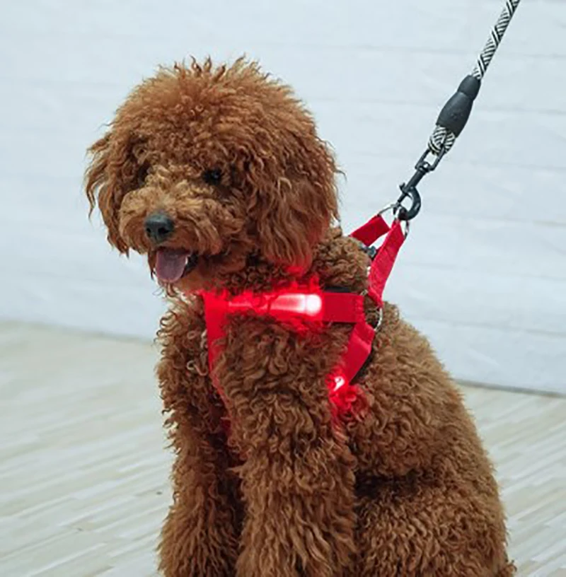 Adjustable LED Dog Harness No Pull Small Medium Glowing Nylon Breast Band Night Safety Pets Accessories