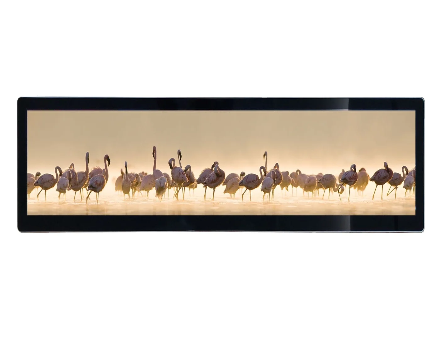 Высококачественная рекламная машина с ЖК-дисплеем 43 7 дюйма/растягивающаяся ЖК-дисплей/растягивающаяся