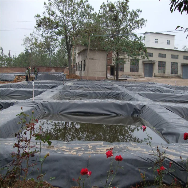 Fish Pond Liner High Quality Reinforced and Texture Hdpe Waterproof Geomembrane 4m/6m Plastic 15mm Plastic Fish Pond Liner