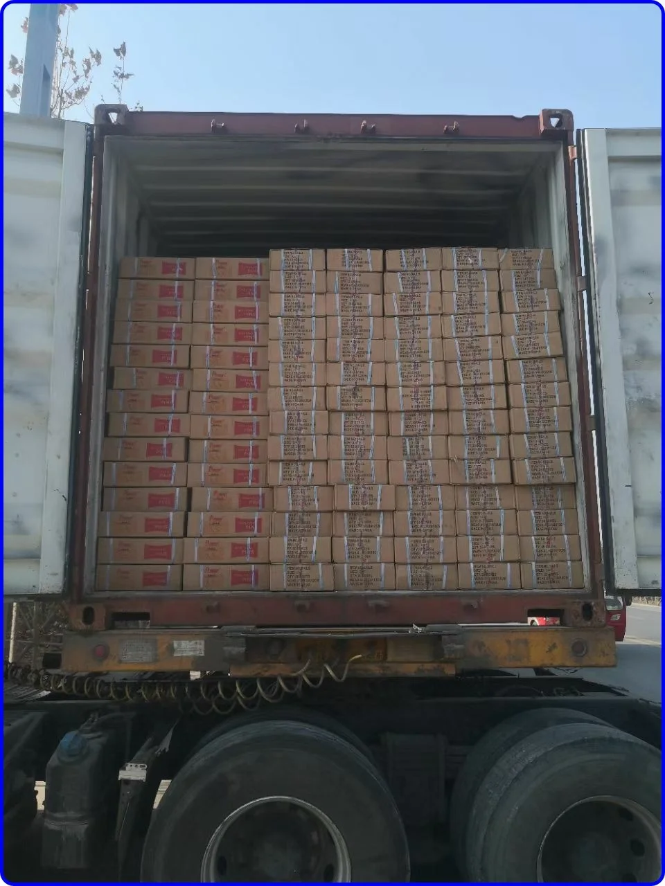 Galvanized 8 inch tent nails turf nails to America market