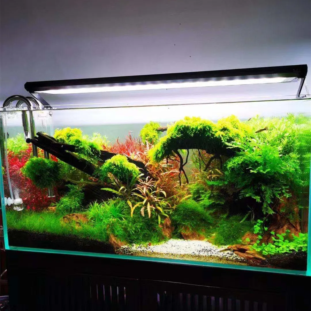 60cm Led Aquarium Light APP Control Adjustable Height Customized Color Aquarium Lamp for Big Size Fish Tanks