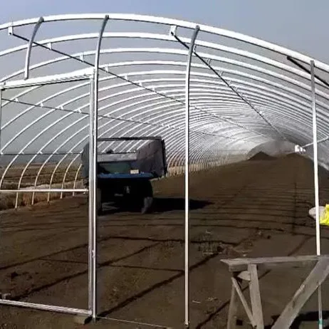 Poultry Farm House Arch Tunnel Greenhouse Green House with Cooling and Insulation System for Chicken/Caw/Pig Raising