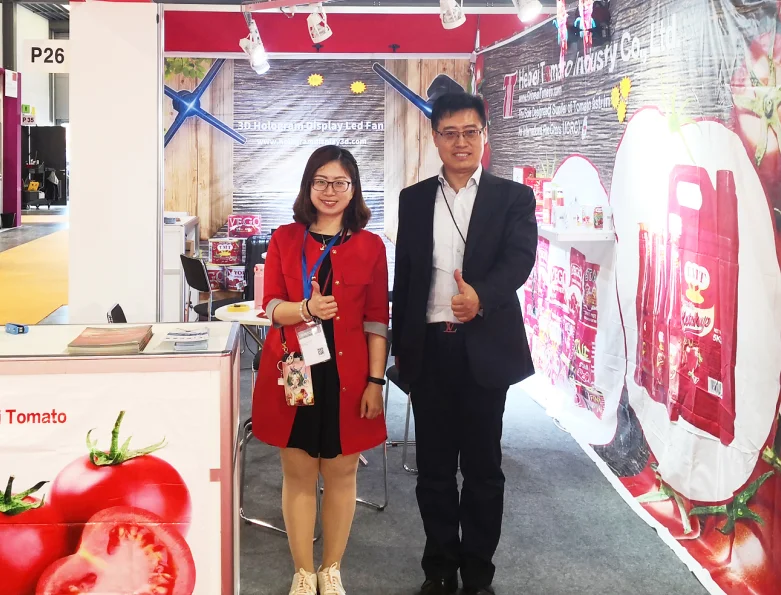 70g sachet tomato paste pouch tomato paste double concentre de tomate