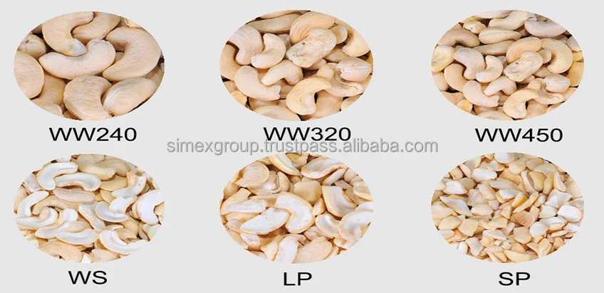 Best sale Cashew nuts dried nuts cashew nuts packaging in Vacuum bag/ tin and carton organic 100% nature