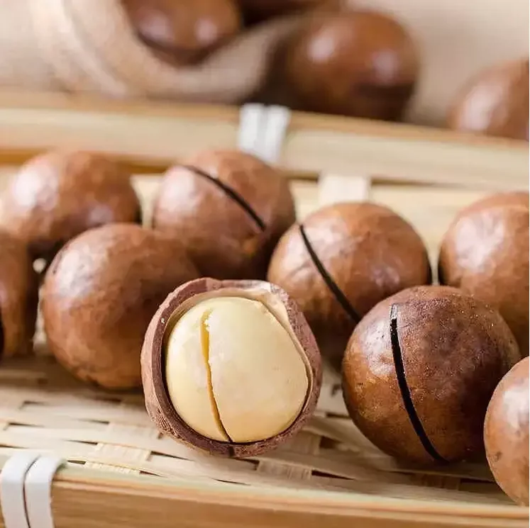 Organic Macadamia Nut Dries With Medium Size