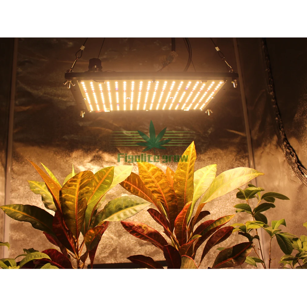 Figolite 3500K 3000K 4000K LED LM301H плата для выращивания света QB288 125W Meanwell