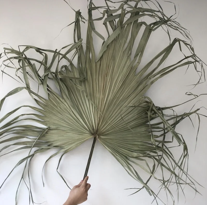 YAYUN W-3020 Wholesale Party Home Decoration Dried Palm Tree Leaves Spear