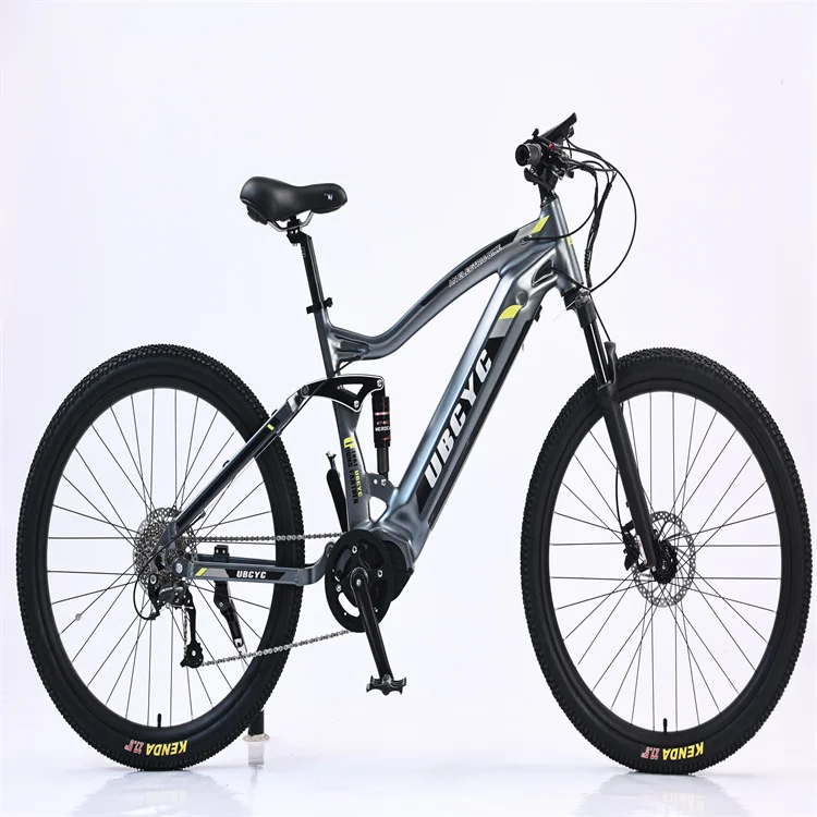 EU Warehouse Adult Mid-Drive e-Mountain Bicycle Retro MTB Electric Bike with 48v Central Motor for Sale