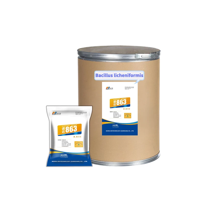 Promote nutrient absorption bacillus licheniformis probiotics bacillus subtilis powder chicken feed additives 25KG
