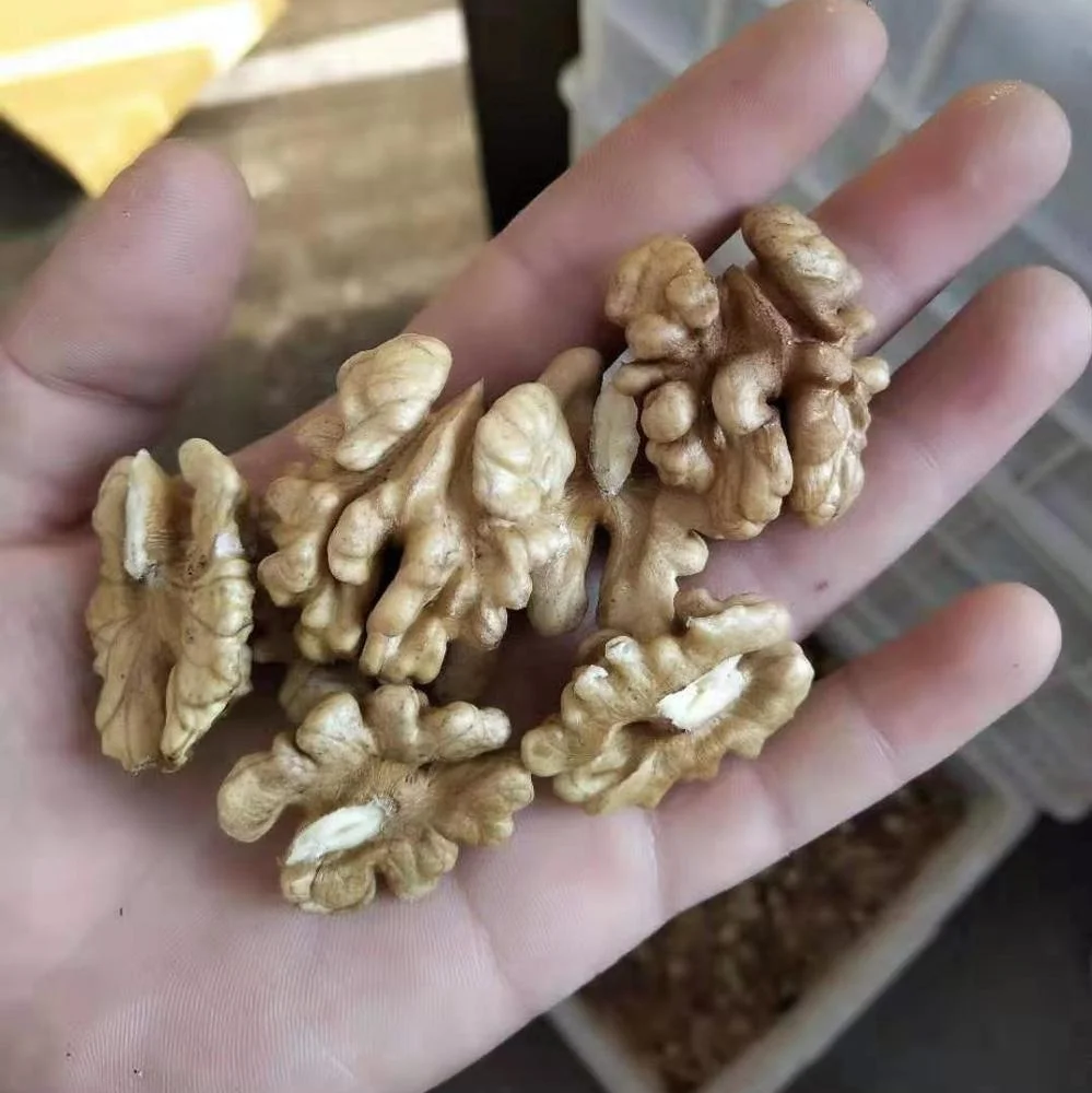 
Chinese xinjiang paper skin walnut inshell new stock high quality 