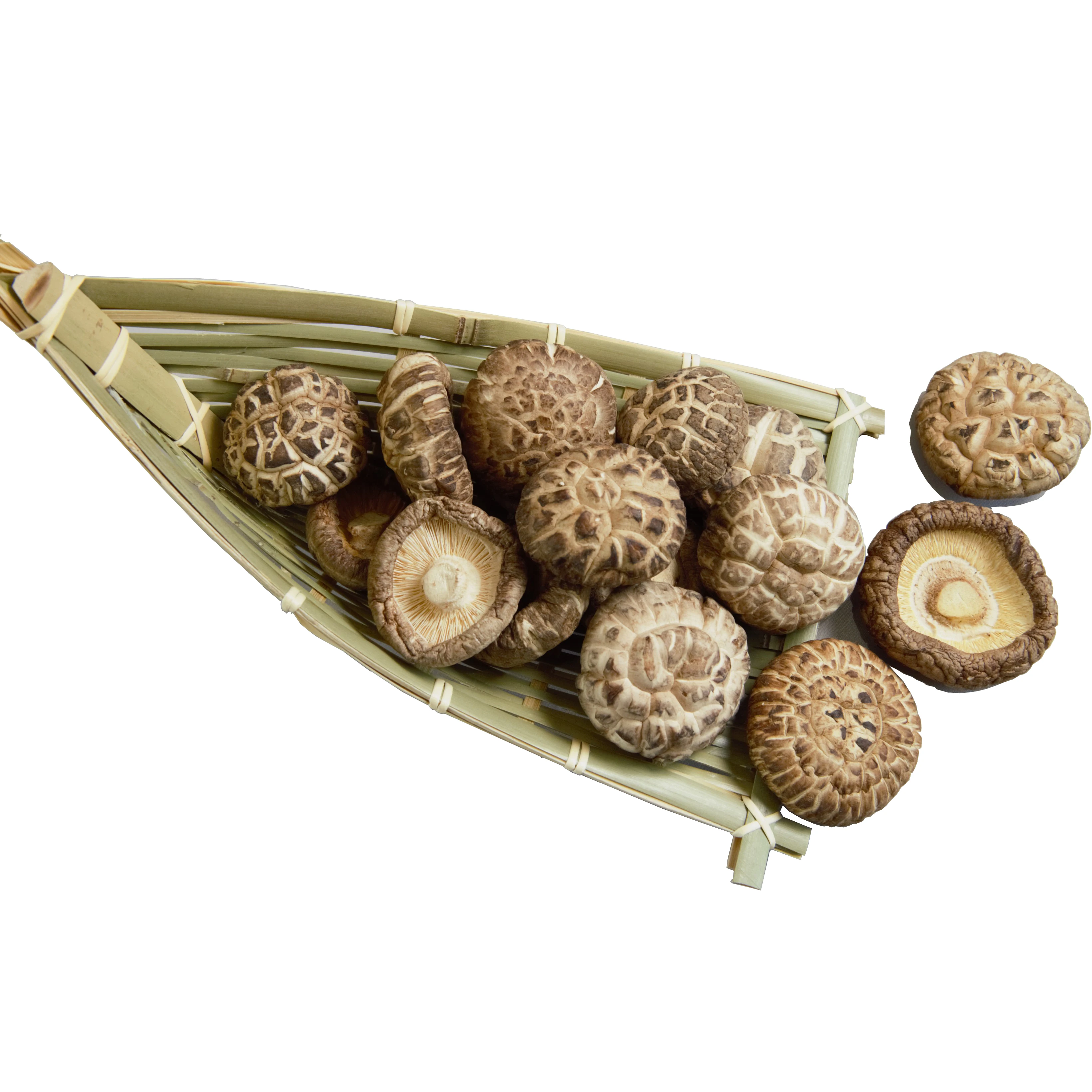 Superior Quality Driedshiitake Mushroom Magic Mushroom