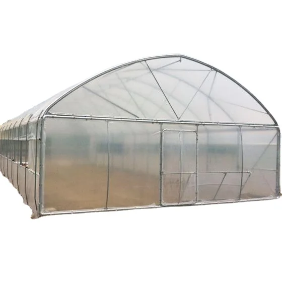 One one Plastic Film Tunnel Greenhouse for Horticultural Farming with great price for planting