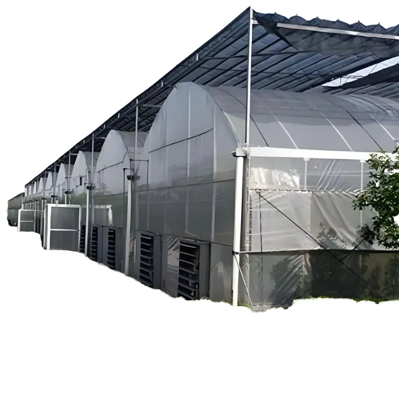 Customized Modern Style Fruit Vegetable Planting PVC Steel Construction Available Small Large Square Glass Multi-Span Greenhouse