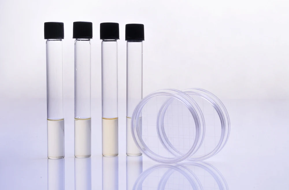 agar,culture media,petri dish