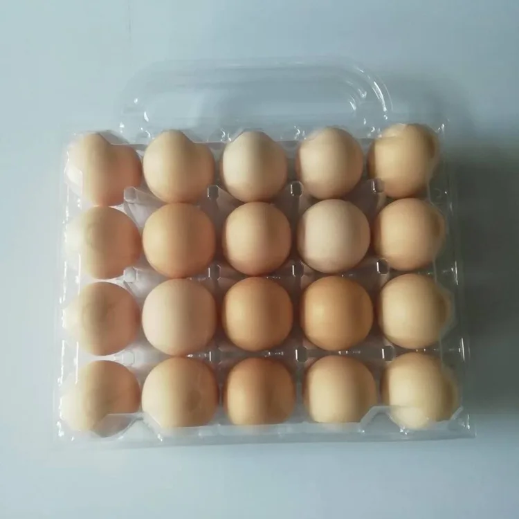  20 cells plastic eggs trays with