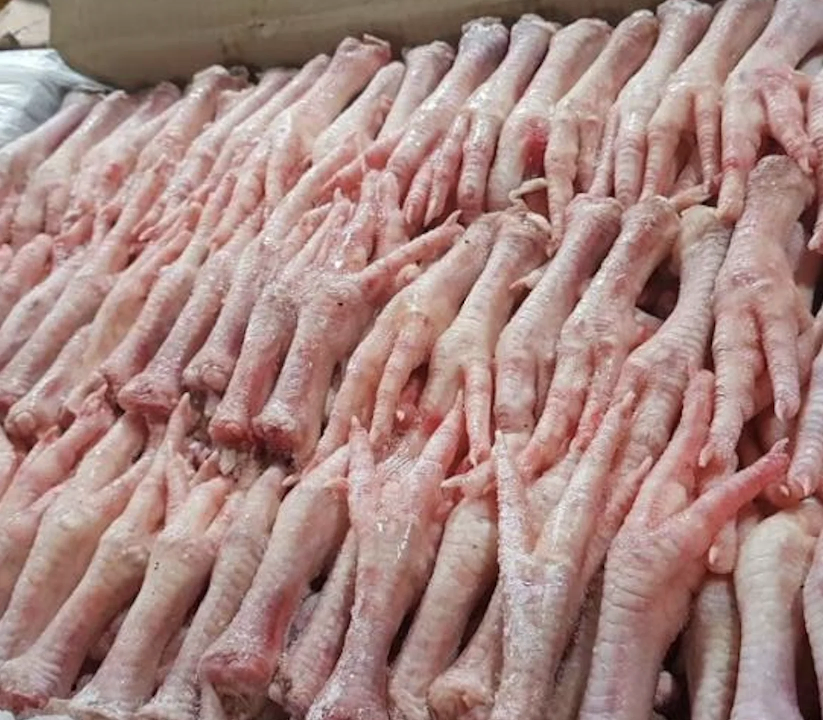 
Buy Quality Brazil Frozen Chicken Paws / Chicken Feet 
