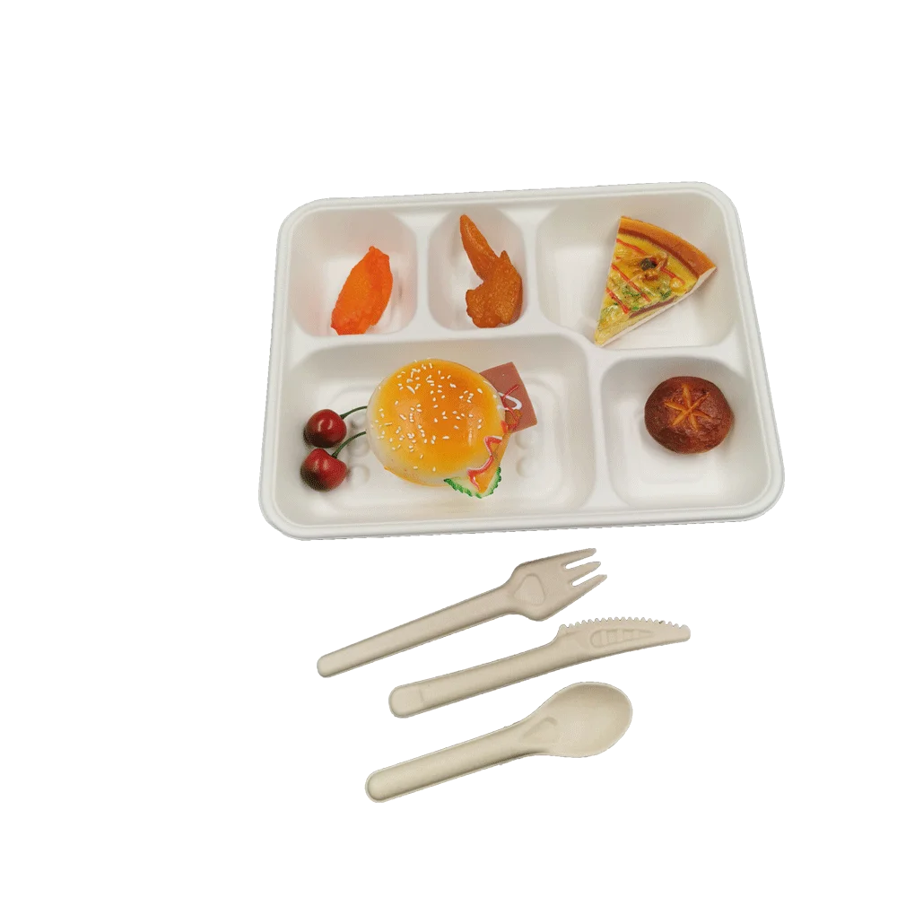 Wholesale 5 compartment disposable bagasse tray for food tableware